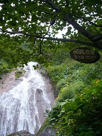 f0065941_1771386.jpg