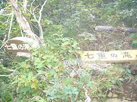 f0065941_1795438.jpg