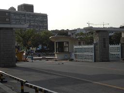 c0018642_2342572.jpg