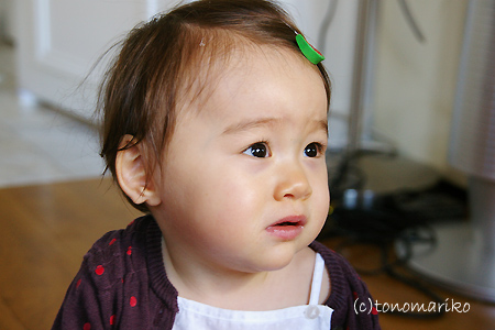 c0024345_632145.jpg