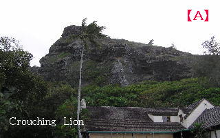 a0090451_1493037.jpg