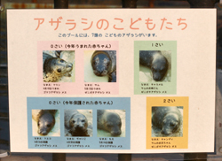 e0080452_9363332.jpg