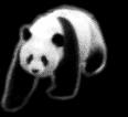 b0002156_2161828.gif