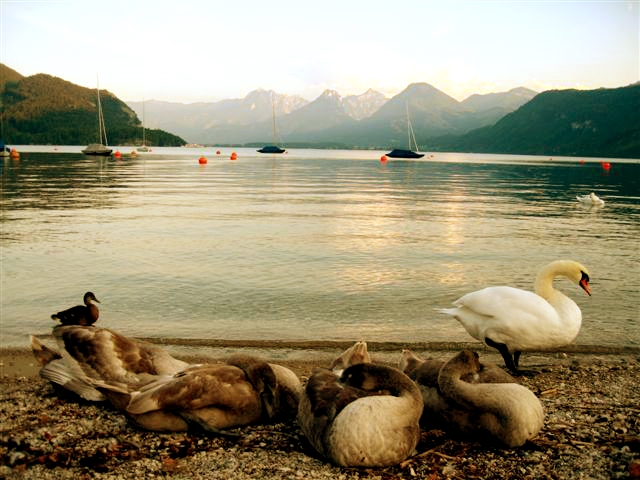 a0073357_16591328.jpg