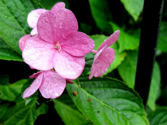 a0073357_1834090.jpg