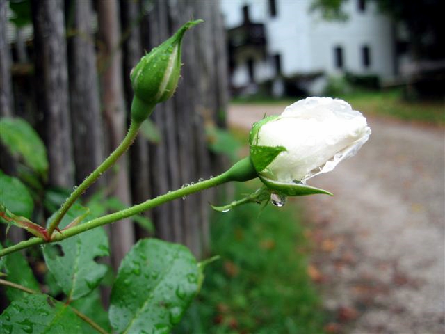 a0073357_183884.jpg