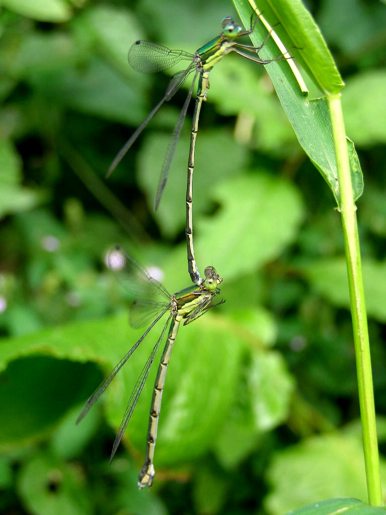 e0064158_025896.jpg