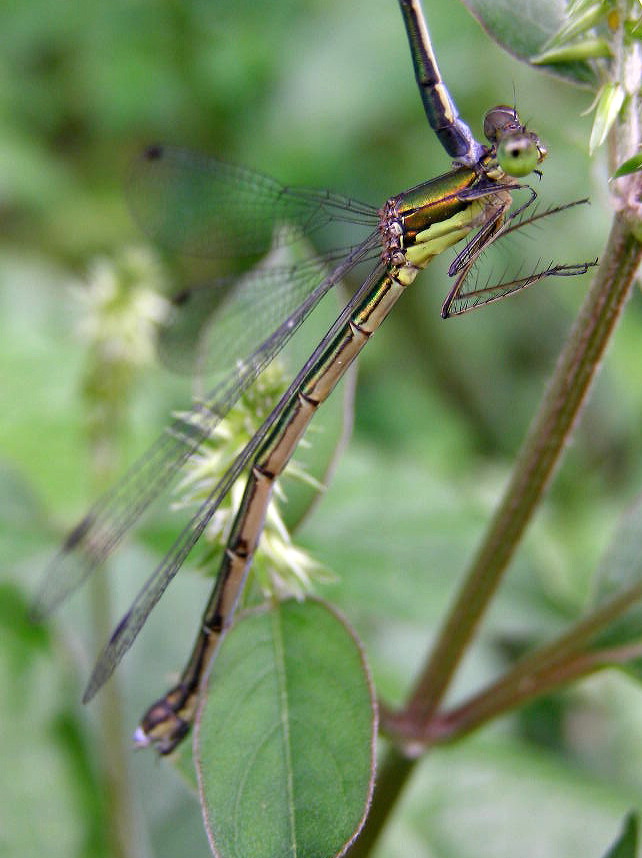 e0064158_02640100.jpg