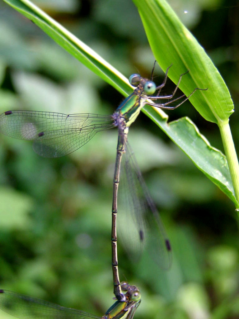 e0064158_027173.jpg