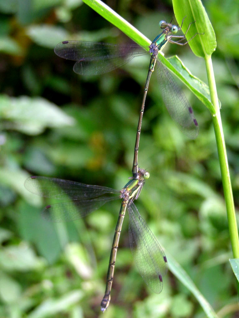 e0064158_0284280.jpg