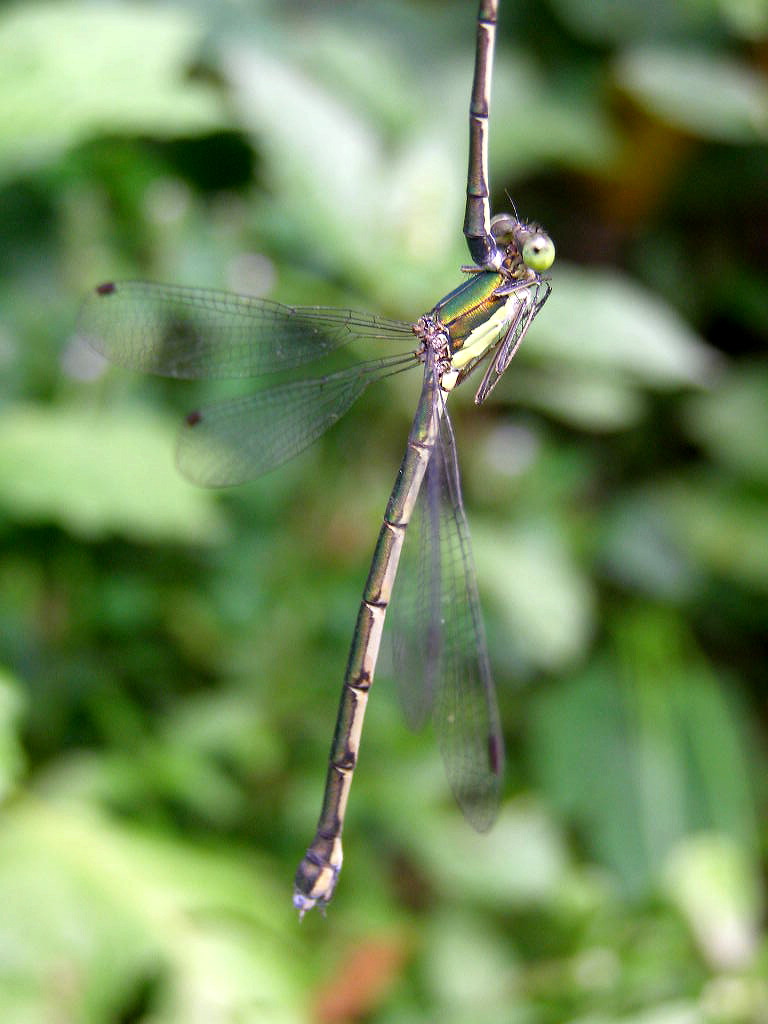 e0064158_0305848.jpg
