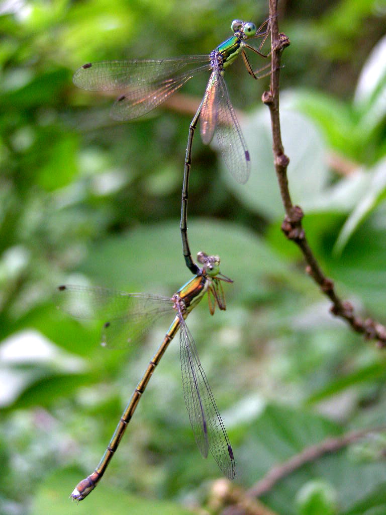 e0064158_0321641.jpg