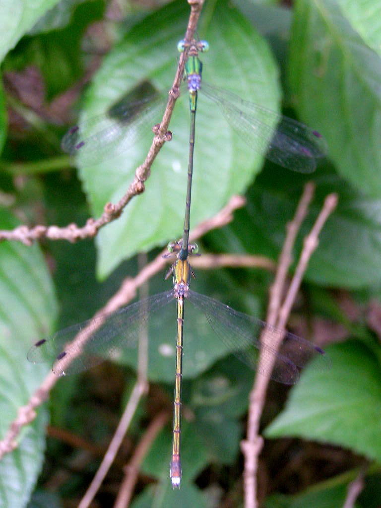 e0064158_0324070.jpg