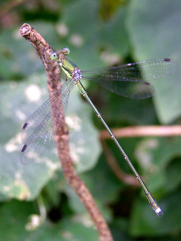 e0064158_033047.jpg