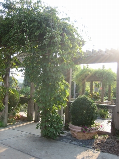 e0015270_11252385.jpg
