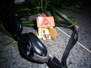 a0002177_1242935.jpg