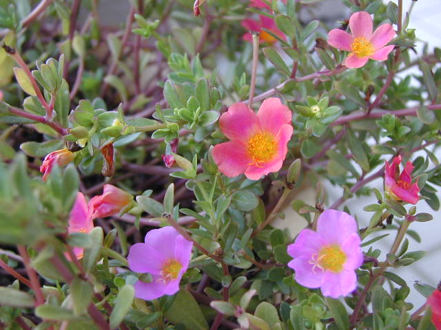 d0016179_21581561.jpg