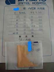 f0081594_837578.jpg