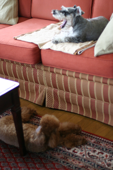 f0001895_15202337.jpg