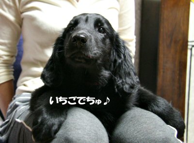 c0050400_1315864.jpg