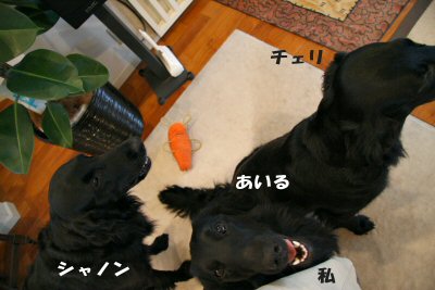 c0050400_1656100.jpg