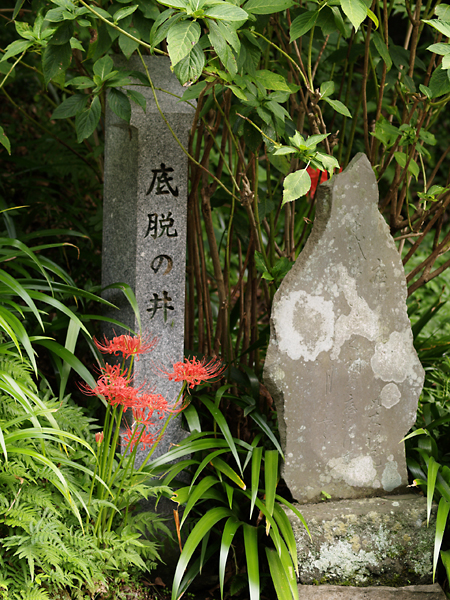 b0071106_20405870.jpg