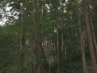 e0047322_13262311.jpg
