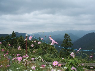 e0047322_1413525.jpg