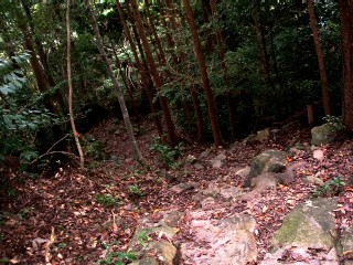 e0047322_1424582.jpg