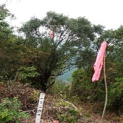 e0047322_14473153.jpg