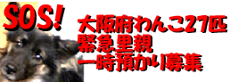 f0079723_8112727.gif