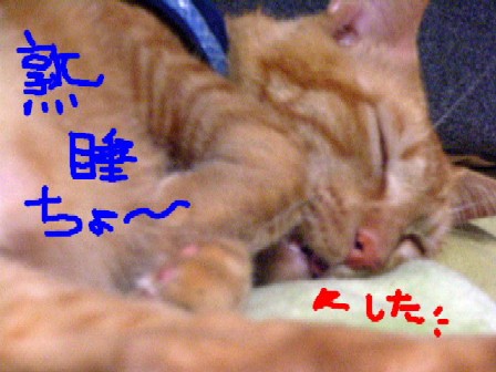 d0081025_19162779.jpg
