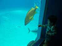 d0041227_1212089.jpg