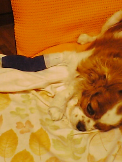 e0003027_1345821.jpg