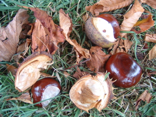 e0074833_21395758.jpg