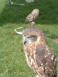 e0074833_21554392.jpg