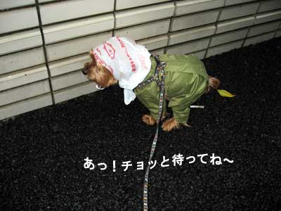 失礼!