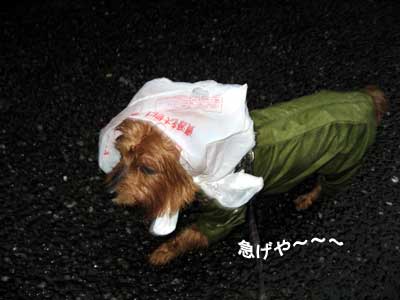 帰ろうね~!