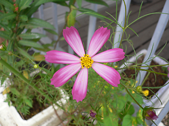 c0069048_6461584.jpg