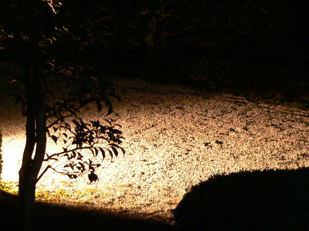 e0017051_228283.jpg