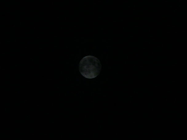 e0017051_2285477.jpg