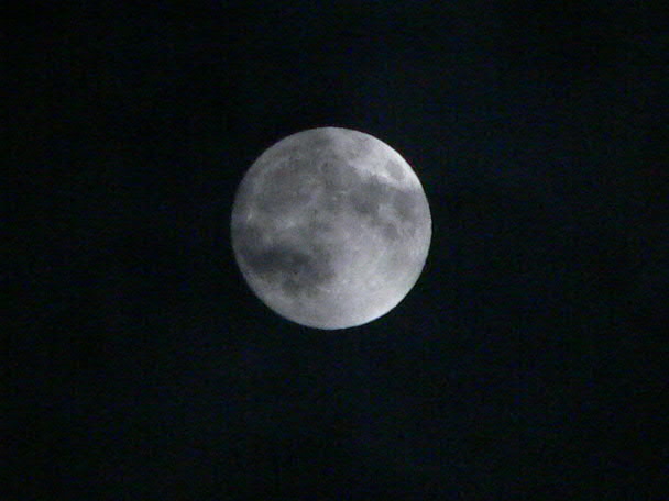 e0017051_2291395.jpg