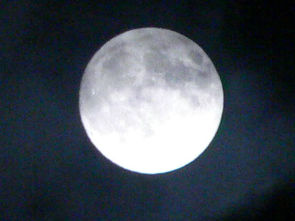 e0017051_2293382.jpg