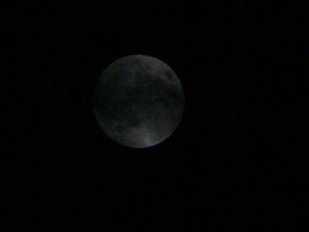 e0017051_229342.jpg