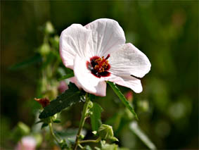 f0062055_70339.jpg