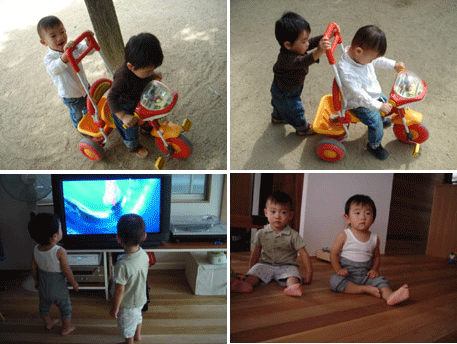 b0072758_035140.gif