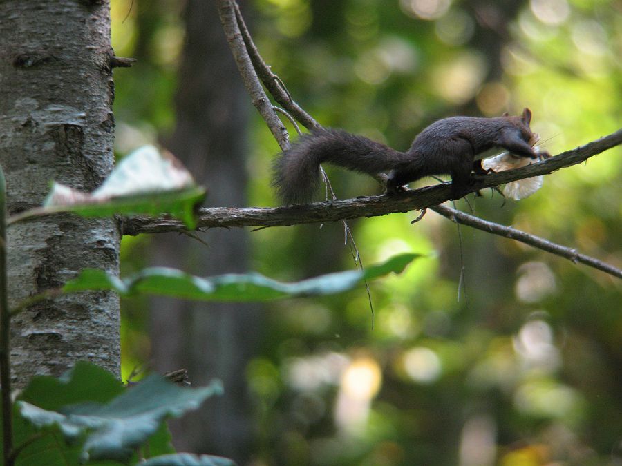 f0103860_1420550.jpg