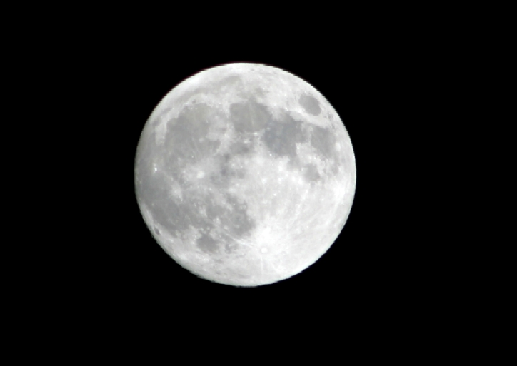 b0032262_21335548.jpg