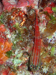 b0062363_17514580.jpg