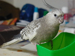 a0087164_16442196.jpg